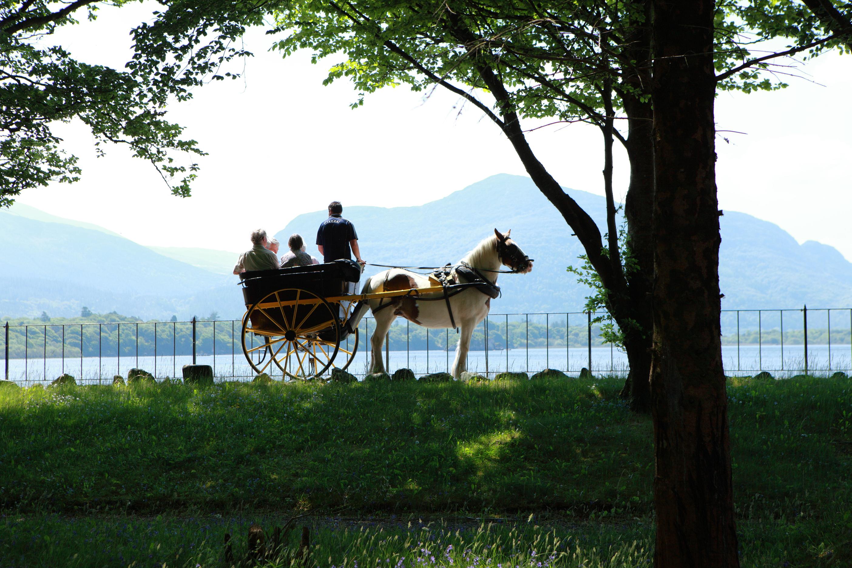 The Lake Hotel Killarney Zewnętrze zdjęcie