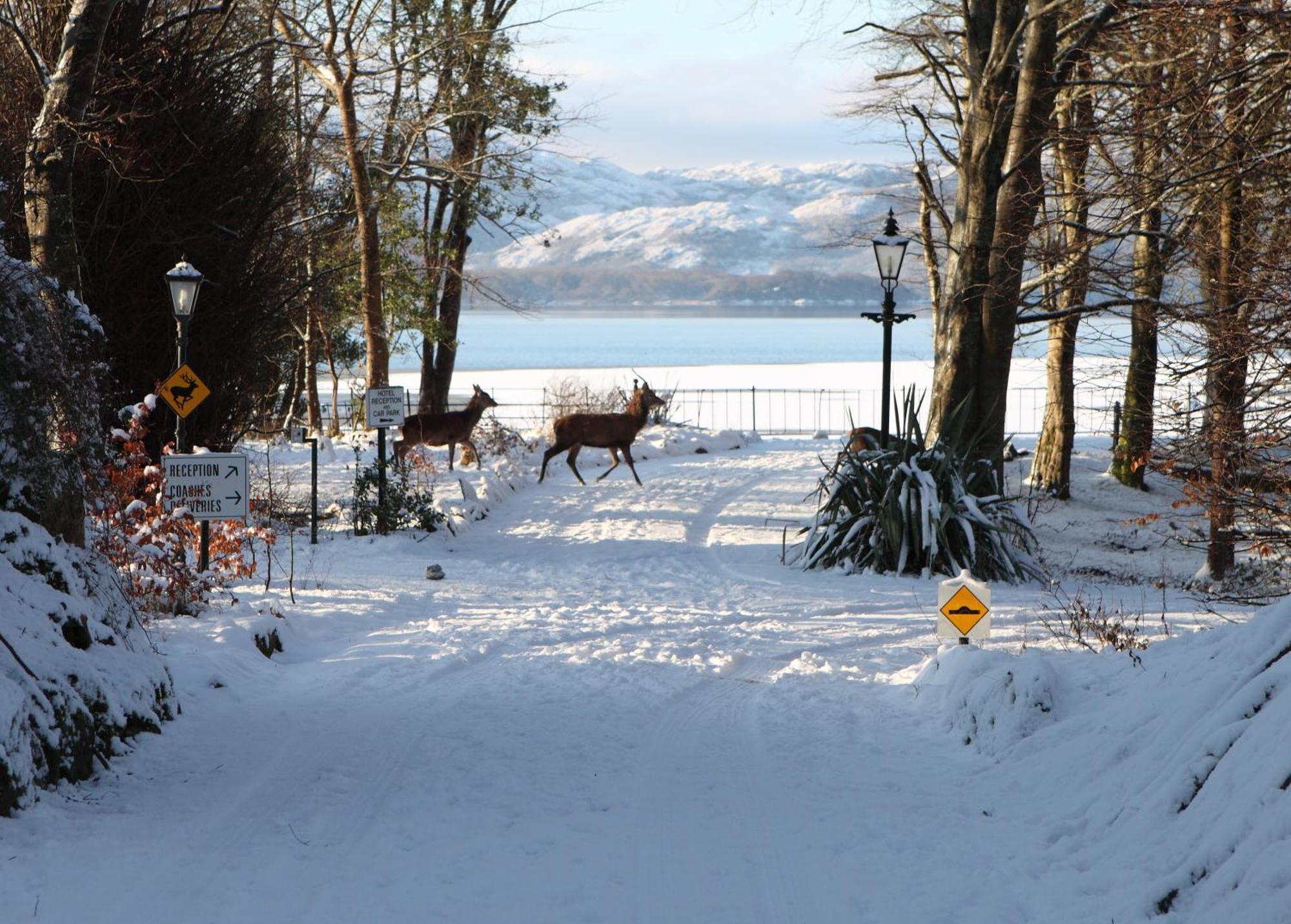 The Lake Hotel Killarney Zewnętrze zdjęcie